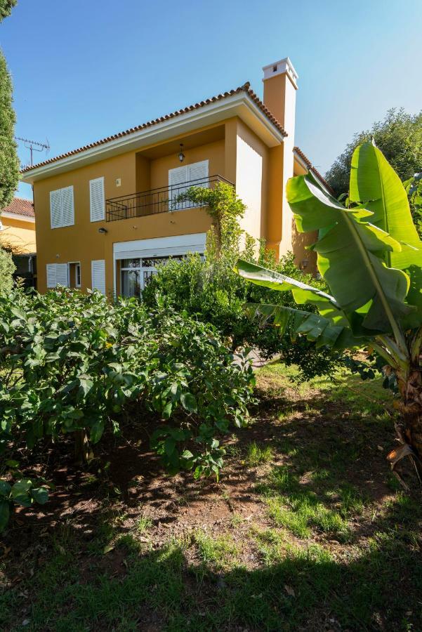 Casa El Fayal Tenerife *